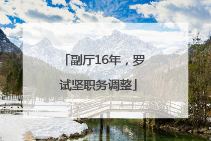 副厅16年，罗试坚职务调整