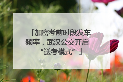 加密考前时段发车频率，武汉公交开启“送考模式”