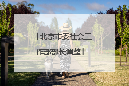 北京市委社会工作部部长调整