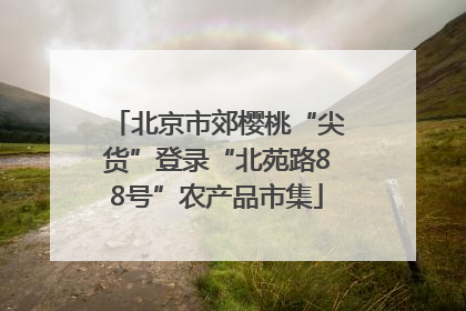 北京市郊樱桃“尖货”登录“北苑路88号”农产品市集