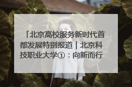 北京高校服务新时代首都发展特别报道｜北京科技职业大学①：向新而行，为首都低空经济发展提供“即战力”