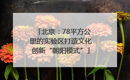 北京：78平方公里的实验区打造文化创新“朝阳模式”