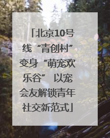 北京10号线“青创村”变身“萌宠欢乐谷” 以宠会友解锁青年社交新范式