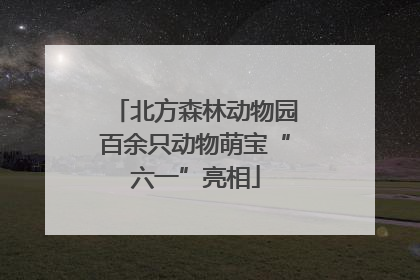 北方森林动物园百余只动物萌宝“六一”亮相