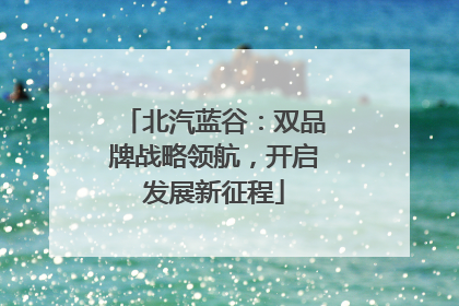 北汽蓝谷：双品牌战略领航，开启发展新征程