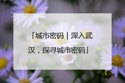 城市密码｜深入武汉，探寻城市密码
