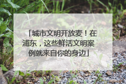 城市文明开放麦！在浦东，这些鲜活文明案例就来自你的身边