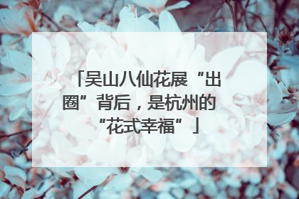 吴山八仙花展“出圈”背后，是杭州的“花式幸福”