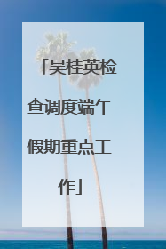 吴桂英检查调度端午假期重点工作