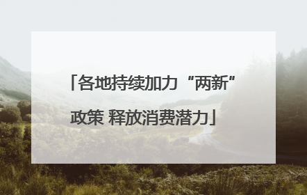 各地持续加力“两新”政策 释放消费潜力