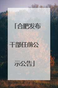 合肥发布干部任前公示公告