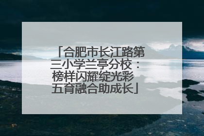 合肥市长江路第三小学兰亭分校：榜样闪耀绽光彩 五育融合助成长