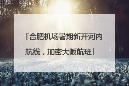 合肥机场暑期新开河内航线，加密大阪航班