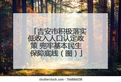 吉安市积极落实低收入人口认定政策 兜牢基本民生保障底线（图）