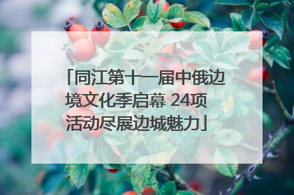 同江第十一届中俄边境文化季启幕 24项活动尽展边城魅力