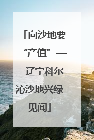 向沙地要“产值”——辽宁科尔沁沙地兴绿见闻