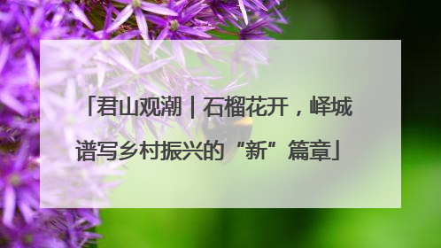 君山观潮｜石榴花开，峄城谱写乡村振兴的“新”篇章