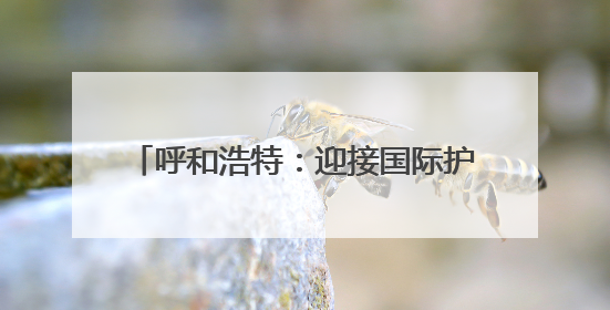 呼和浩特：迎接国际护士节 致敬白衣天使