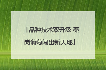 品种技术双升级 秦岗葡萄闯出新天地