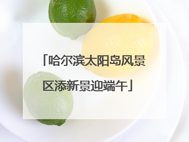 哈尔滨太阳岛风景区添新景迎端午