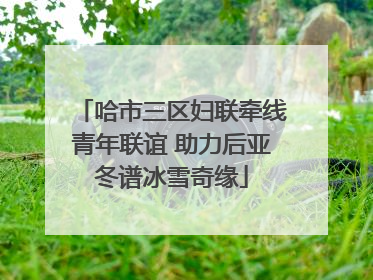 哈市三区妇联牵线青年联谊 助力后亚冬谱冰雪奇缘