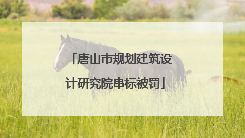 唐山市规划建筑设计研究院串标被罚