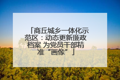 商丘城乡一体化示范区：动态更新廉政档案 为党员干部精准“画像”