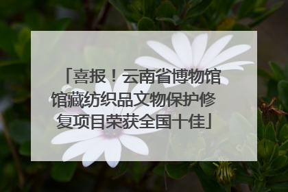 喜报！云南省博物馆馆藏纺织品文物保护修复项目荣获全国十佳