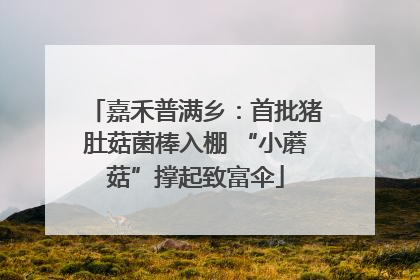 嘉禾普满乡：首批猪肚菇菌棒入棚 “小蘑菇”撑起致富伞