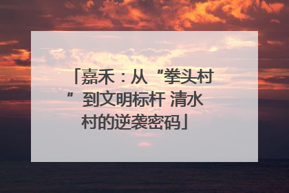嘉禾：从“拳头村”到文明标杆 清水村的逆袭密码