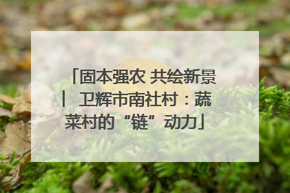 固本强农 共绘新景 ︳卫辉市南社村：蔬菜村的“链”动力