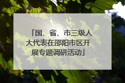 国、省、市三级人大代表在邵阳市区开展专题调研活动