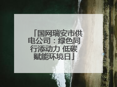 国网瑞安市供电公司：绿色同行添动力 低碳赋能环境日
