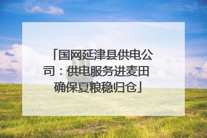 国网延津县供电公司：供电服务进麦田 确保夏粮稳归仓
