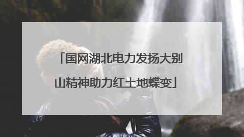 国网湖北电力发扬大别山精神助力红土地蝶变