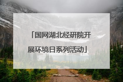 国网湖北经研院开展环境日系列活动