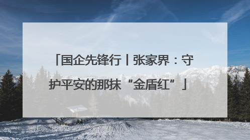 国企先锋行丨张家界：守护平安的那抹“金盾红”