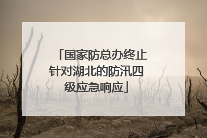 国家防总办终止针对湖北的防汛四级应急响应