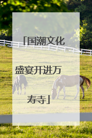 国潮文化盛宴开进万寿寺