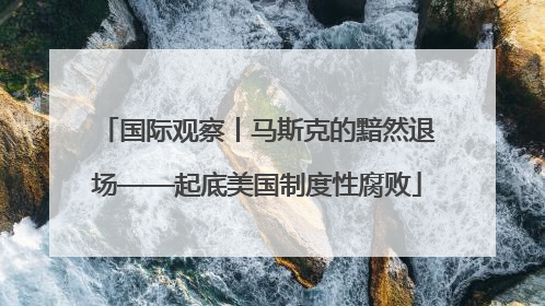 国际观察丨马斯克的黯然退场——起底美国制度性腐败
