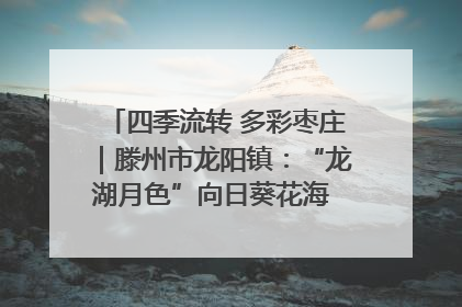四季流转 多彩枣庄｜滕州市龙阳镇：“龙湖月色”向日葵花海 绘就乡村振兴新画卷