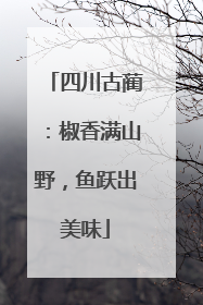 四川古蔺：椒香满山野，鱼跃出美味