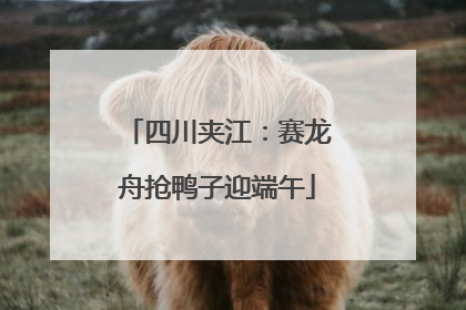 四川夹江：赛龙舟抢鸭子迎端午