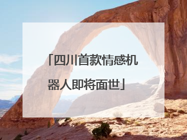 四川首款情感机器人即将面世