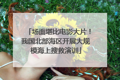 场面堪比电影大片！我国北部海区开展大规模海上搜救演训