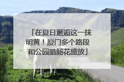 在夏日邂逅这一抹明黄！厦门多个路段和公园腊肠花盛放