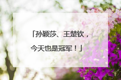 孙颖莎、王楚钦，今天也是冠军！