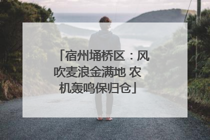 宿州埇桥区：风吹麦浪金满地 农机轰鸣保归仓