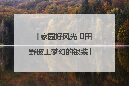 家园好风光 ⎮田野披上梦幻的银装