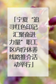 宁夏“追寻红色印记 汇聚奋进力量”职工区内疗休养线路推介活动举行